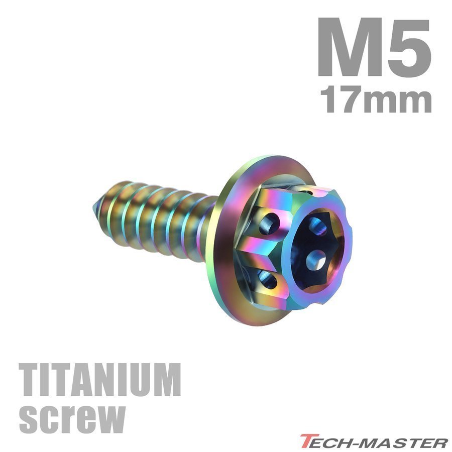 M5×17mm 64チタン合金 ヘキサゴンヘッド タッピングネジ 六角穴付き 焼きチタンカラー ライトカラー 1個 JA604_画像1