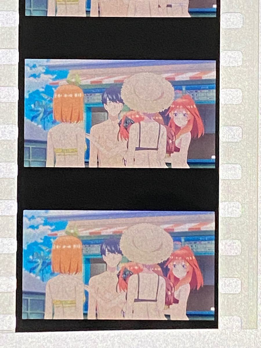 映画 劇場版 五等分の花嫁 5等分の花嫁来場者特色紙中野五月 映画 劇場版 五等分の花嫁 5等分の花嫁来場者特色紙中野五月