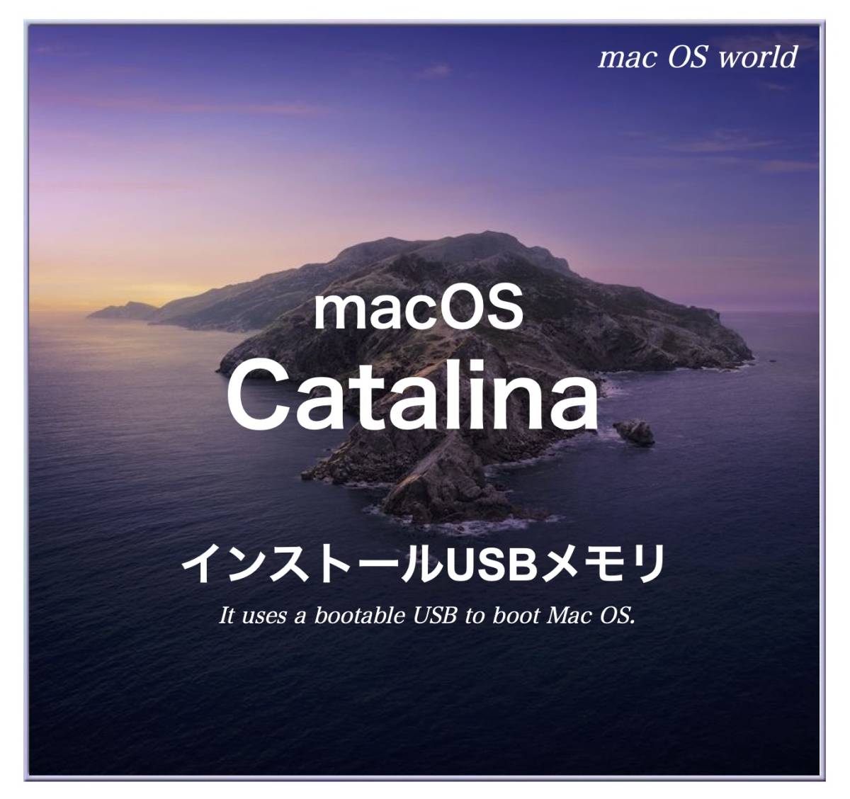 【C4w】macOS Catalina 10.15.7起動USBインストーラーの画像1
