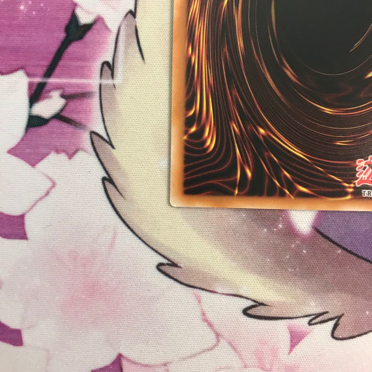 遊戯王 聖菓使クーベル Patissciel Couverture EU 英語版 スター 遊戯王 聖菓使クーベル Patissciel Couverture EU 英語版 スター