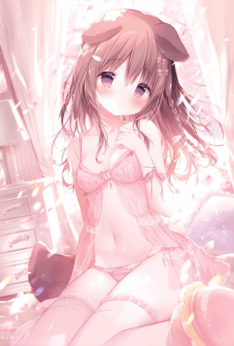たぬき 希少 しらたま さくらまろん B2タペストリー タペストリー