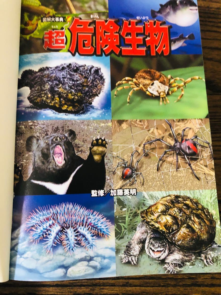 ♪図鑑大事典♪超危険生物♪新星出版社