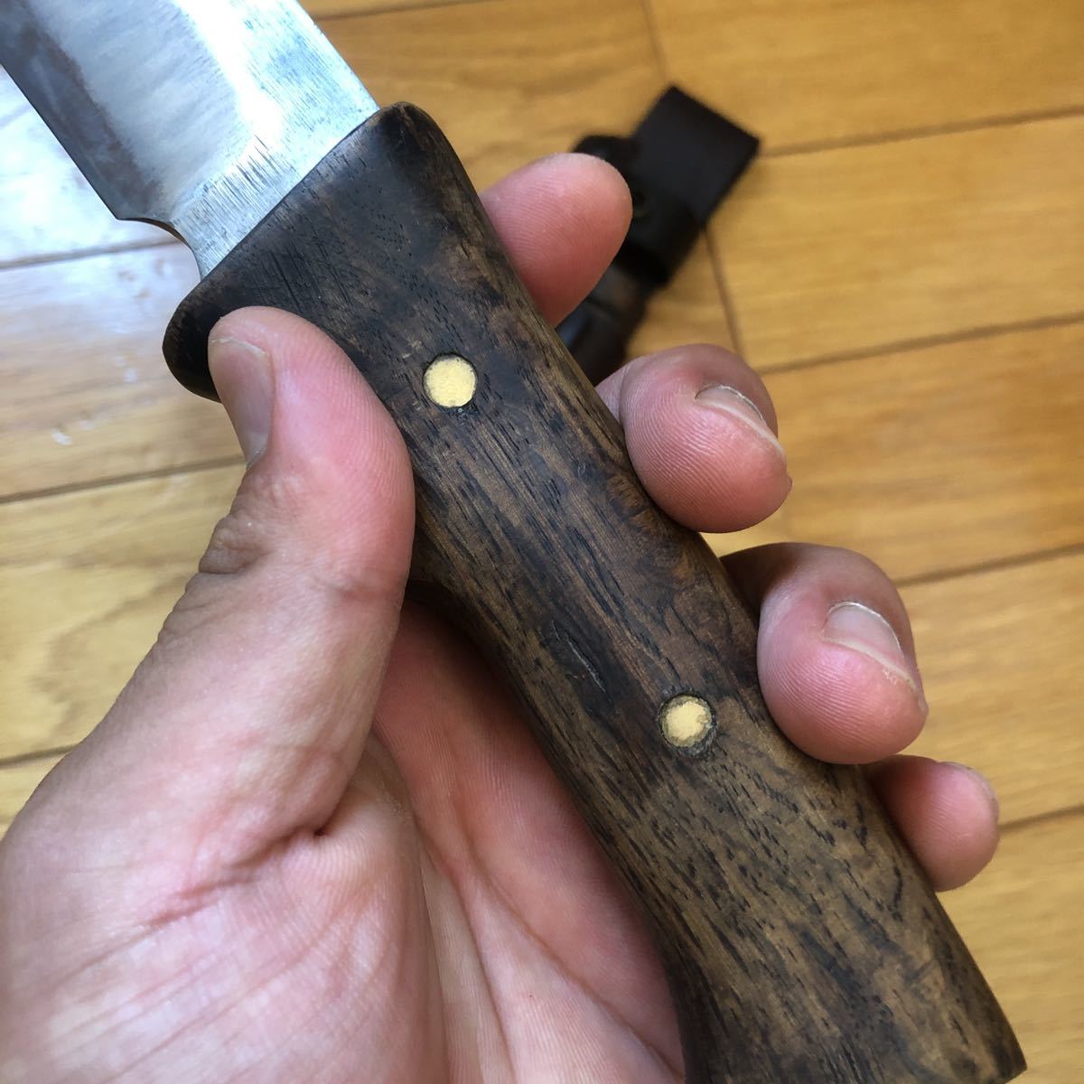 魅力の 佐治武士 狩猟刀 180 - bcqld.com.au