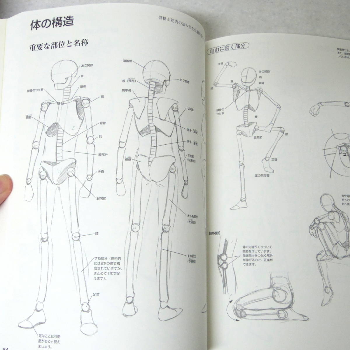 スーパーマンガデッサン　作画のための考えるデッサン　画/松本剛彦　森田和明　文/林晃