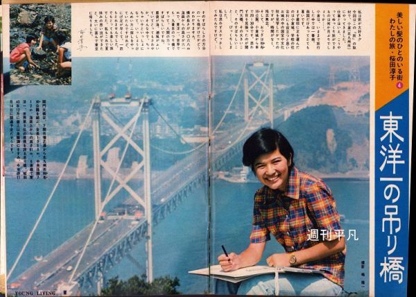 桜田淳子 西城秀樹 関根恵子ヌード 由美かおる あべ静江 桜田淳子 西城秀樹 関根恵子ヌード 由美かおる あべ静江