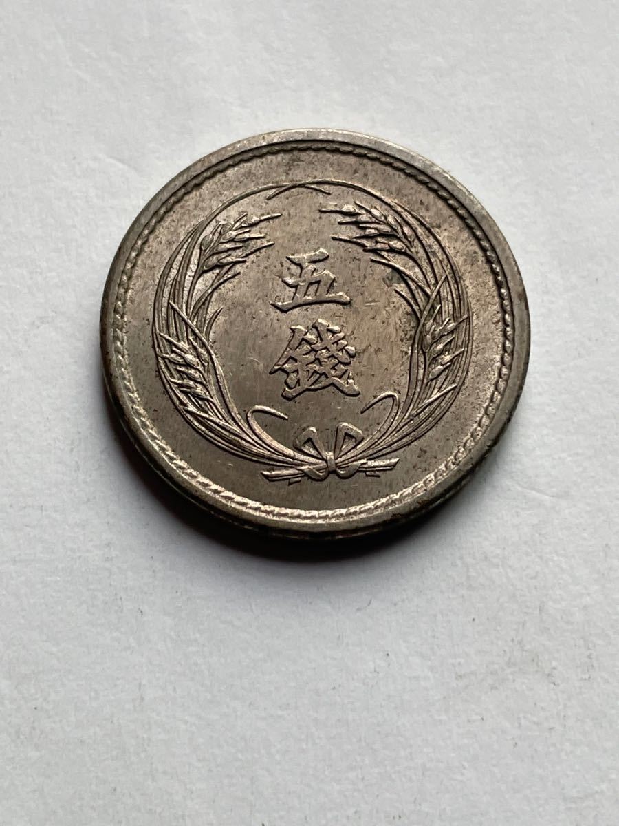 古銭　稲5銭白銅貨明治31年 極美品+