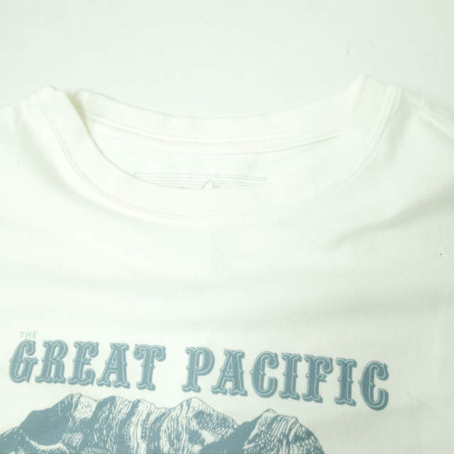 PATAGONIA パタゴニア 2013年製 GREAT PACIFIC IRON WORKS TEE グレートパシフィックアイアンワークスTシャツ 59548 S ホワイト 半袖 g4931_画像4