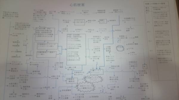 Yahoo!オークション - 看護学生のための実習対策ファイル看護 Yahoo!オークション - 看護学生のための実習対策ファイル看護
