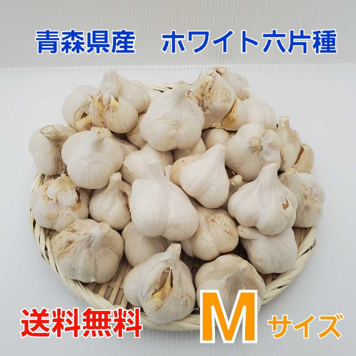 人気品質保証 青森県産にんにく5kg M ニンニク5キロ 福地ホワイト