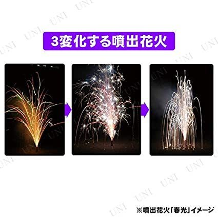 花火セット 稲垣屋 バラエティセット 情熱バカンス NO.50/9504/送料無料_画像6