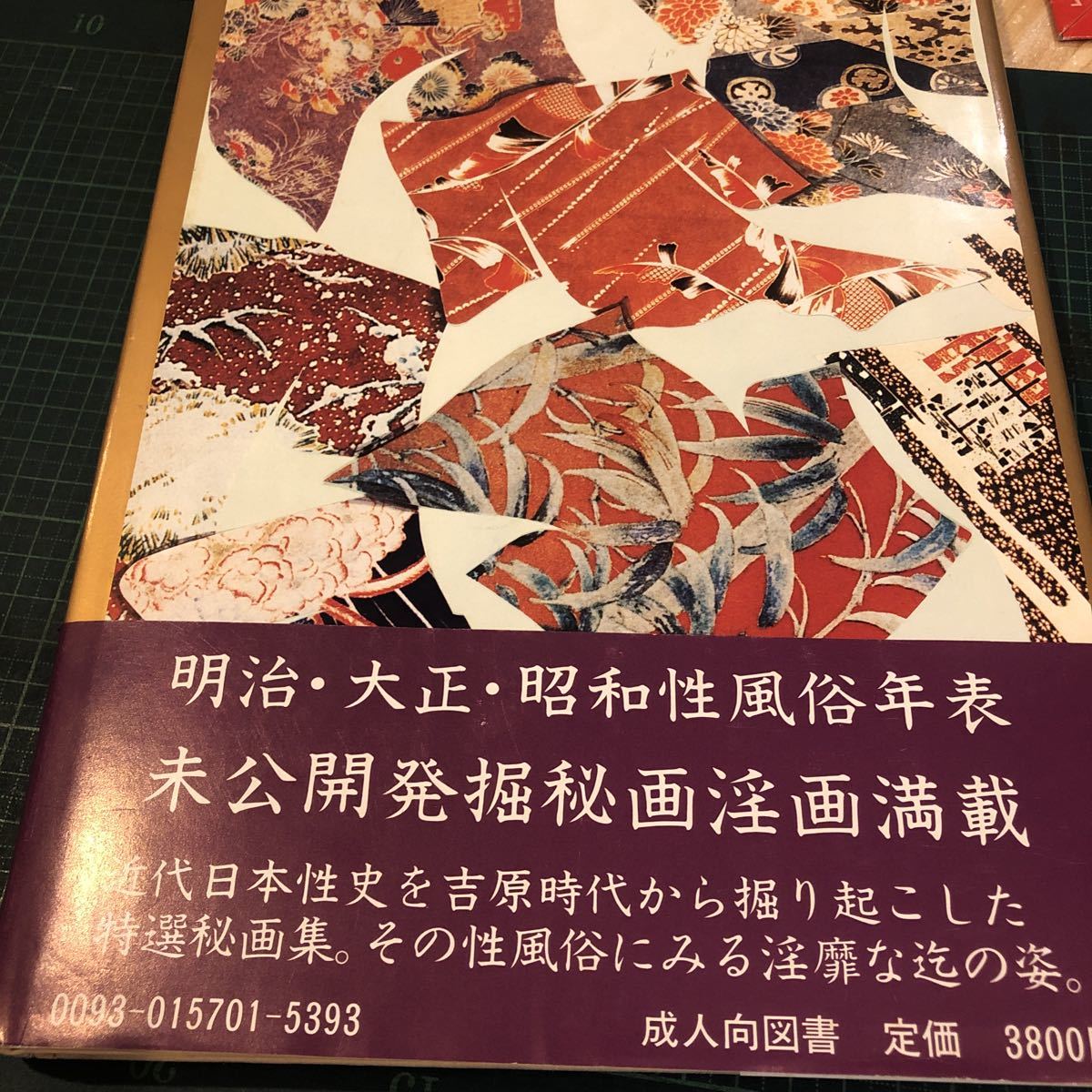 書録 明治・大正期の傑作艶画・秘画撰 或る女別館 書録 明治・大正期の傑作艶画・秘画撰 或る女別館