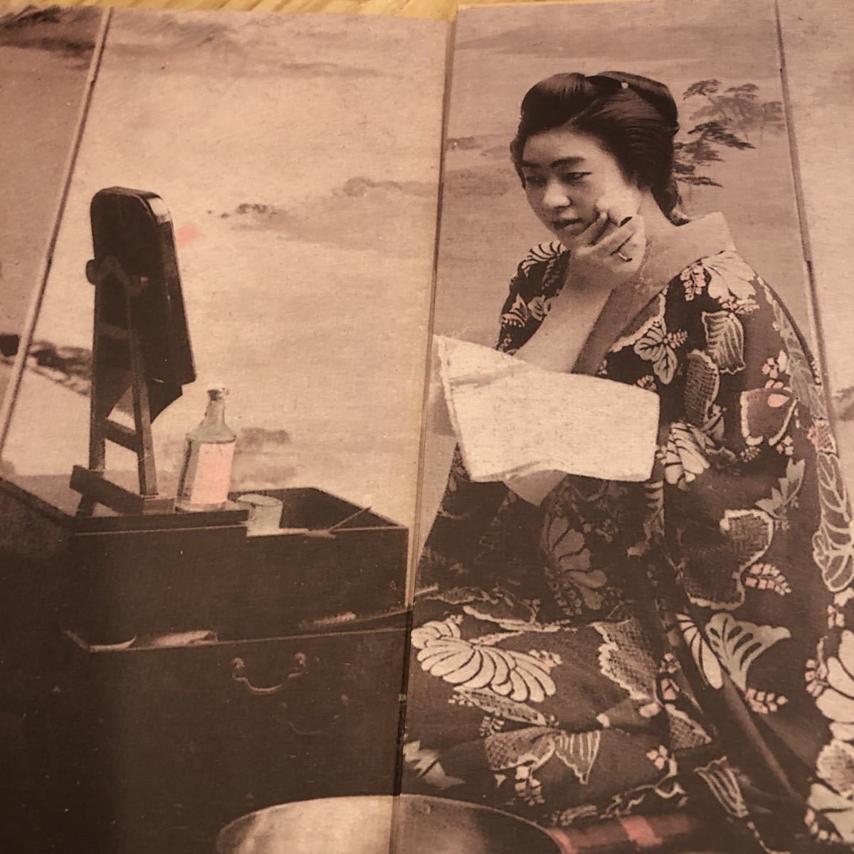 書録 明治・大正期の傑作艶画・秘画撰 或る女別館 書録 明治・大正期の傑作艶画・秘画撰 或る女別館