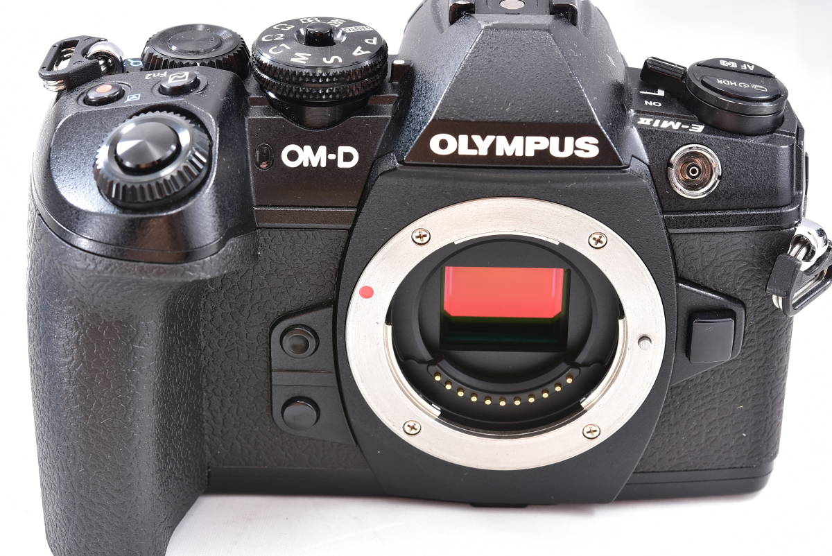 OLYMPUS ミラーレス一眼カメラ OM-D E-M1 MarkII ボディ azumaregroup.com