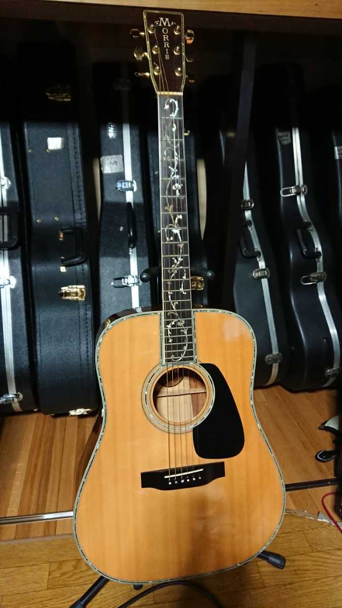 超美品 希少 Morris TF-820 ツリー・オブ・ライフ ハカランダ3Pバック 2