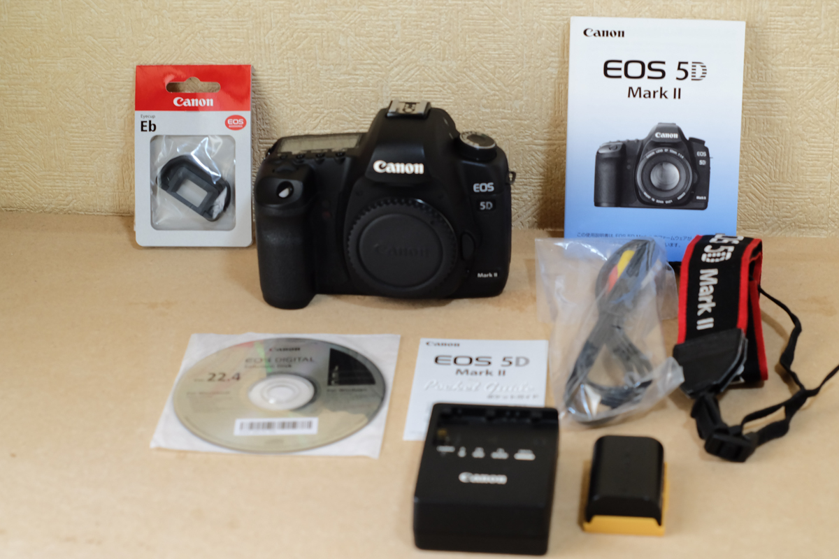 数量は多い☆ EOS 5D キャノン MarkⅡ 21319回 シャッター数 Canon
