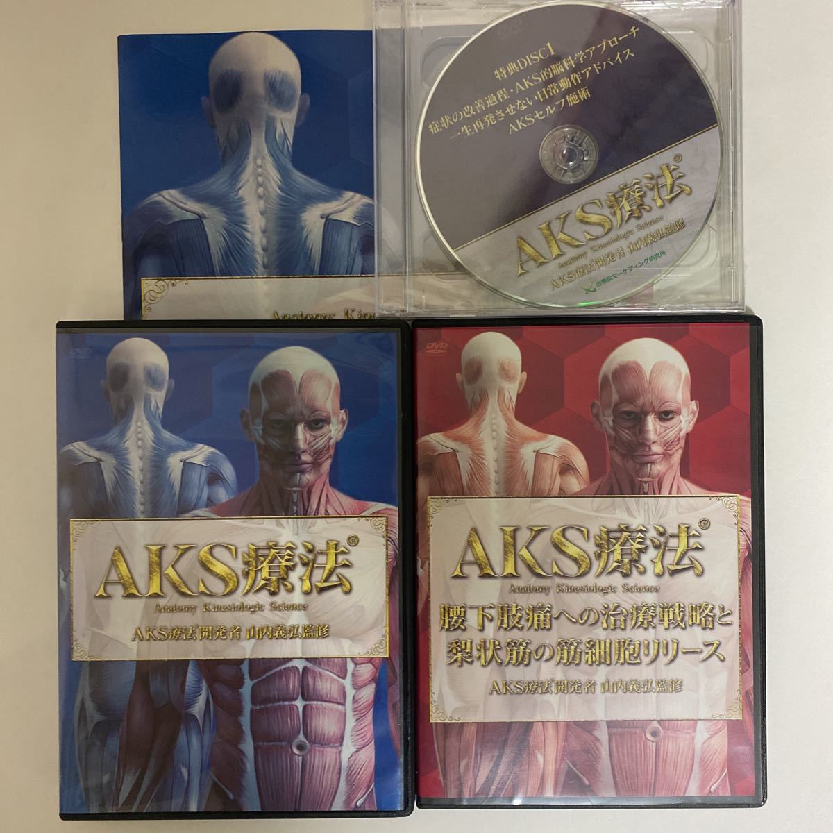 フルセット!整体DVD【AKS療法】【腰下肢痛への治療戦略と梨状筋の筋細胞リリース】山内義弘★手技DVD 整骨 治療院マーケティング研究所