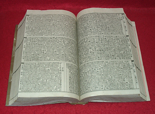 人気激安 ☆康煕字典/立野胤政校・山中市兵衛発行/明治14年☆ - 辞書 辞書