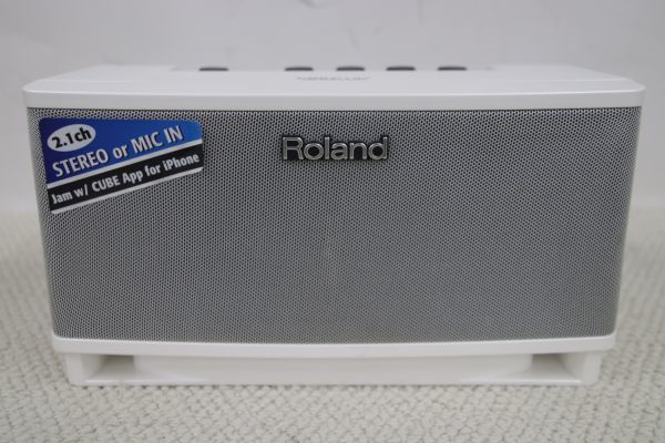 使い勝手の良い】 Roland ローランド Cube Lite Stereo Monitor