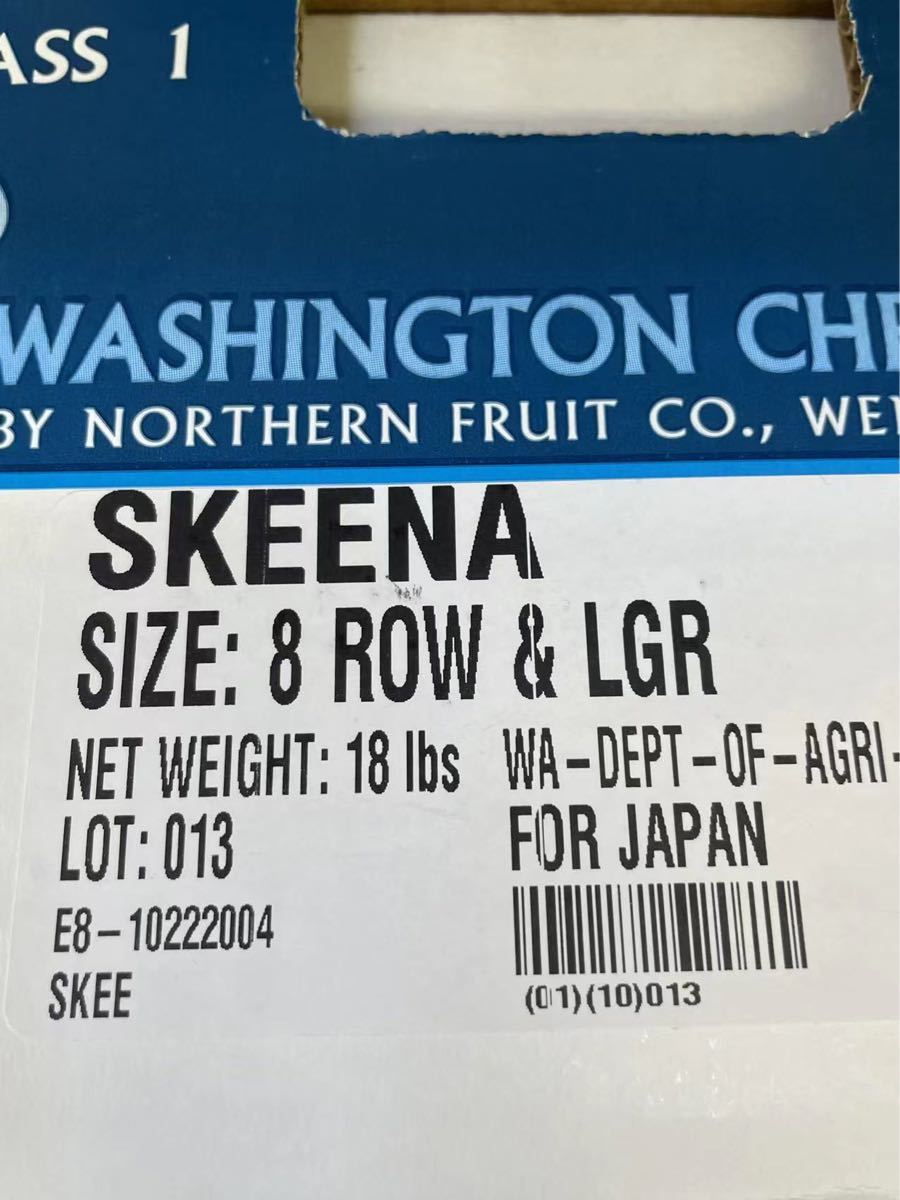 希少品種　スキーナダークチェリー　アメリカンチェリー　1kg