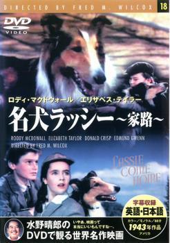 名犬ラッシー 家路【字幕】 中古 DVD_画像1