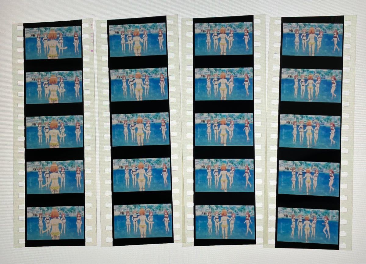 都内で Free 特典 コマフィルム 集合 10人 baimmigration.com
