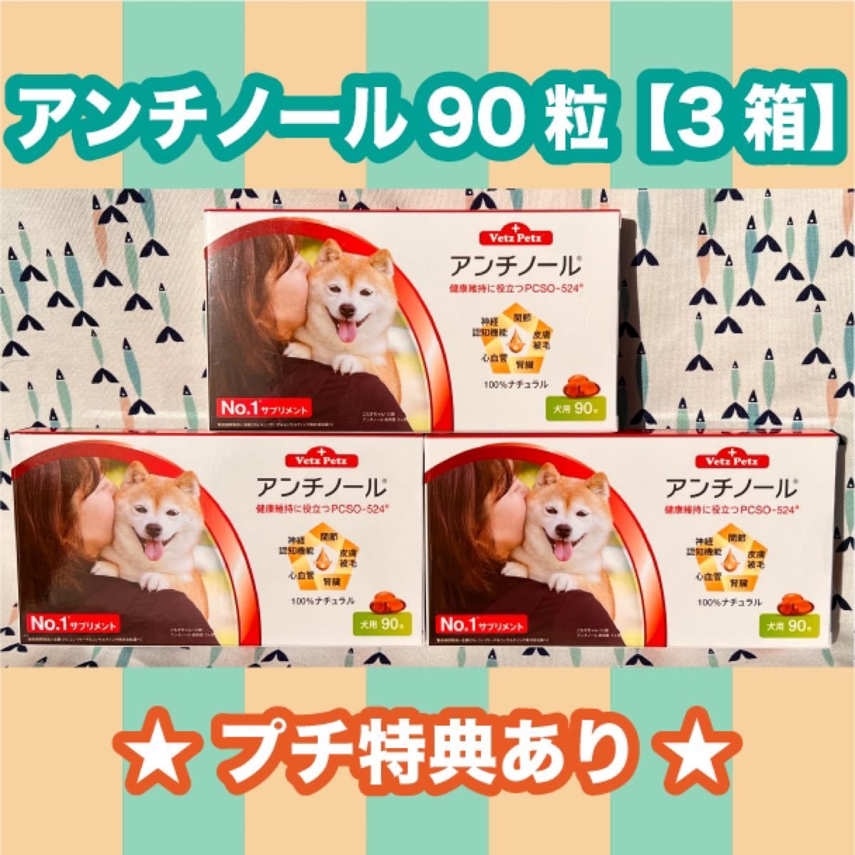 アンチノール 犬用 90粒 新品未開封 サプリメント | アンチノール 90粒 ...