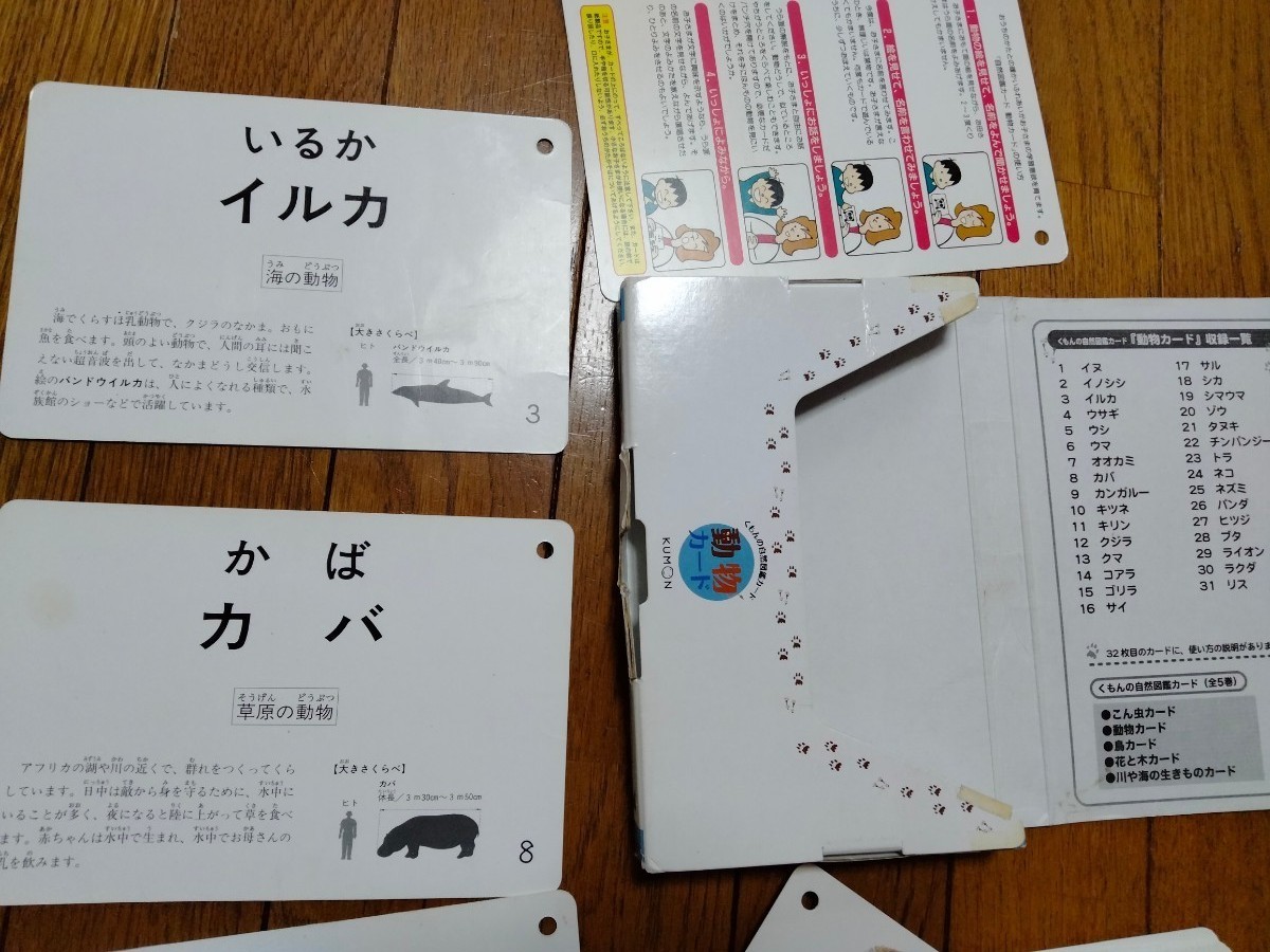 動物カード　幼児から （くもんの自然図鑑カード） （第２版） 成島悦雄／監修