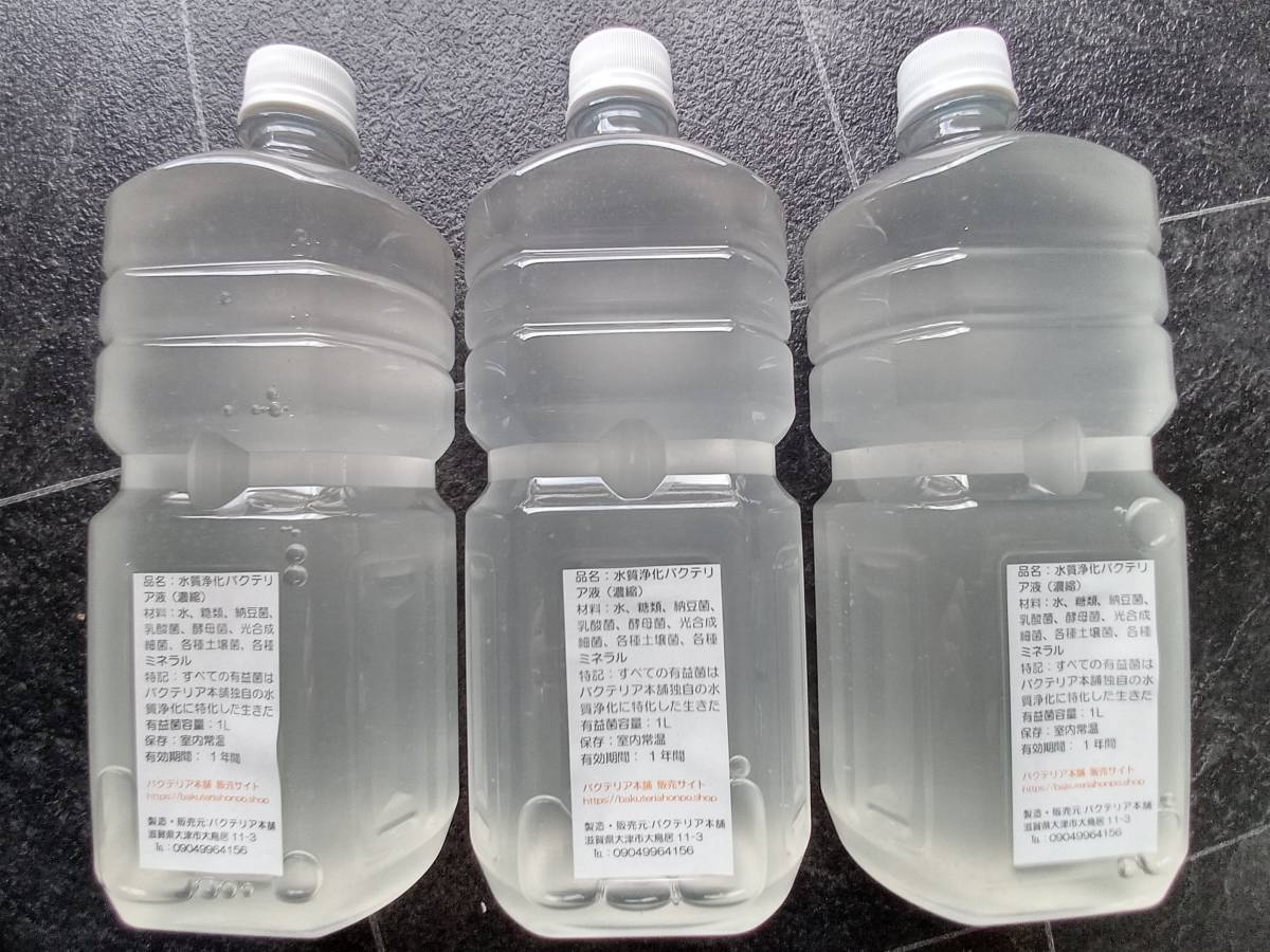 【バクテリア本舗 本店】武蔵 [3L]高濃度水質浄化バクテリア液(らんちゅう,めだか,グッピー,金魚,錦鯉,シュリンプ,熱帯魚,海水魚）_室内の水槽飼育によく使用されています！