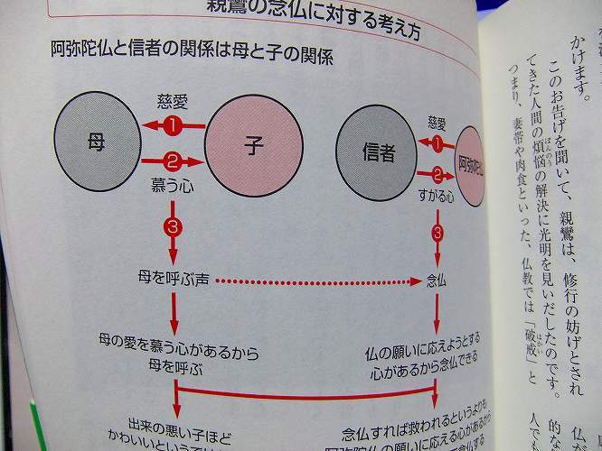 手にとるように宗教がわかる本