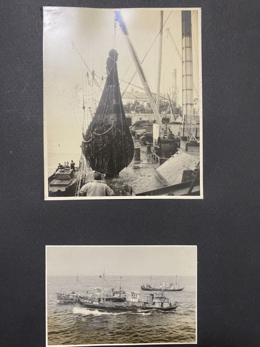 戦前 日本水産の写真アルバム のちの海軍特設艦船(厚生丸/駿河丸 戦前 日本水産の写真アルバム のちの海軍特設艦船(厚生丸/駿河丸