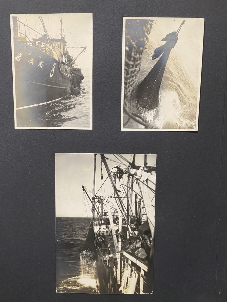 戦前 日本水産の写真アルバム のちの海軍特設艦船(厚生丸/駿河丸 戦前 日本水産の写真アルバム のちの海軍特設艦船(厚生丸/駿河丸