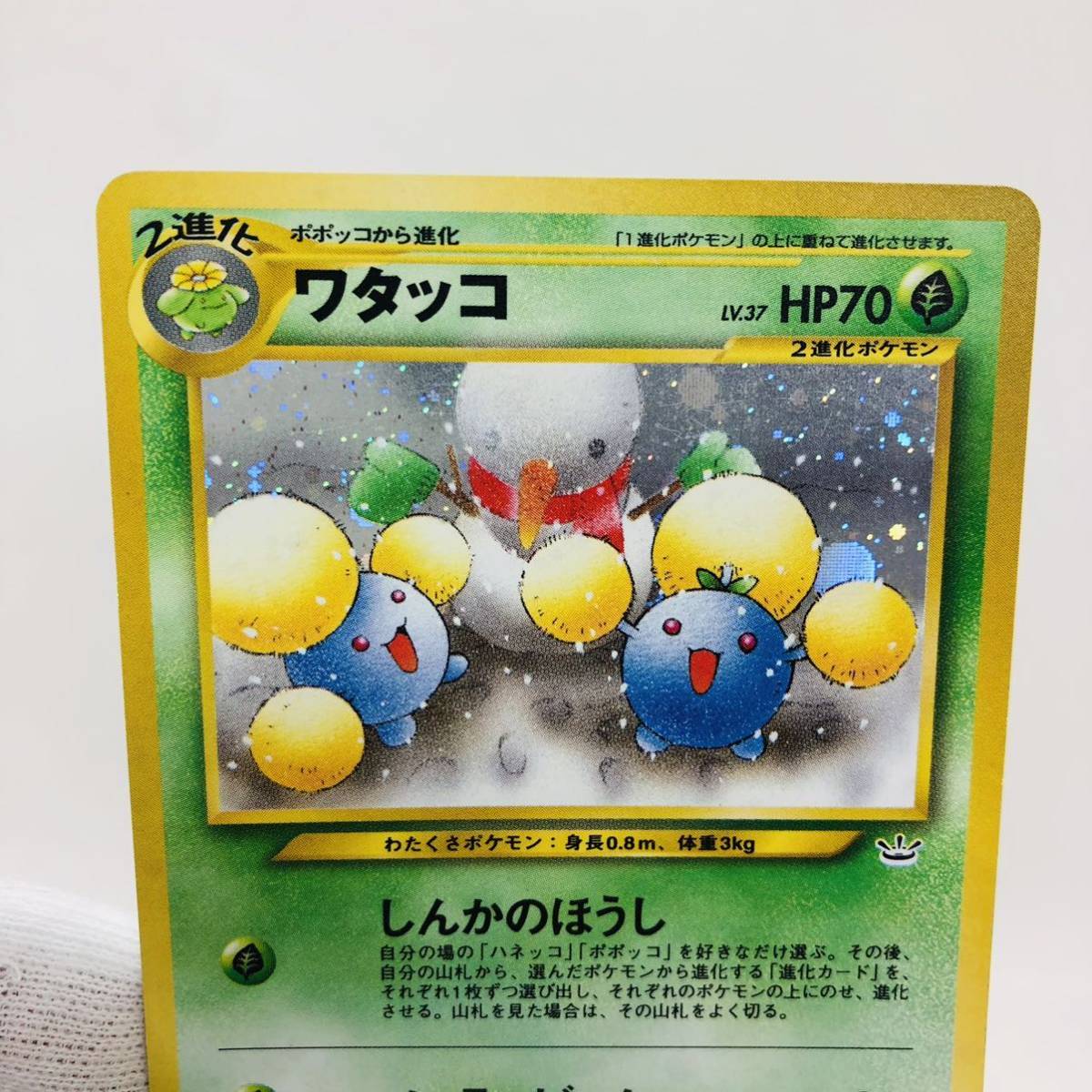 Paypayフリマ ポケモンカード 旧裏面 旧裏 ワタッコ 各1枚セット Paypayフリマ ポケモンカード 旧裏面 旧裏 ワタッコ 各1枚セット