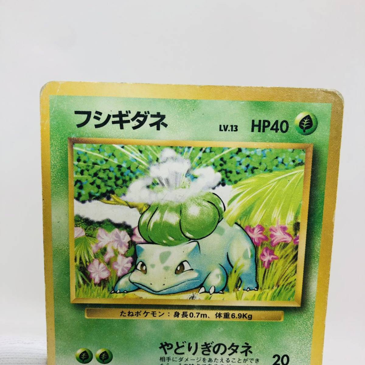 ポケモンカード 旧裏面 旧裏 マークなし 初版 フシギダネ ポケモンカード 旧裏面 旧裏 マークなし 初版 フシギダネ