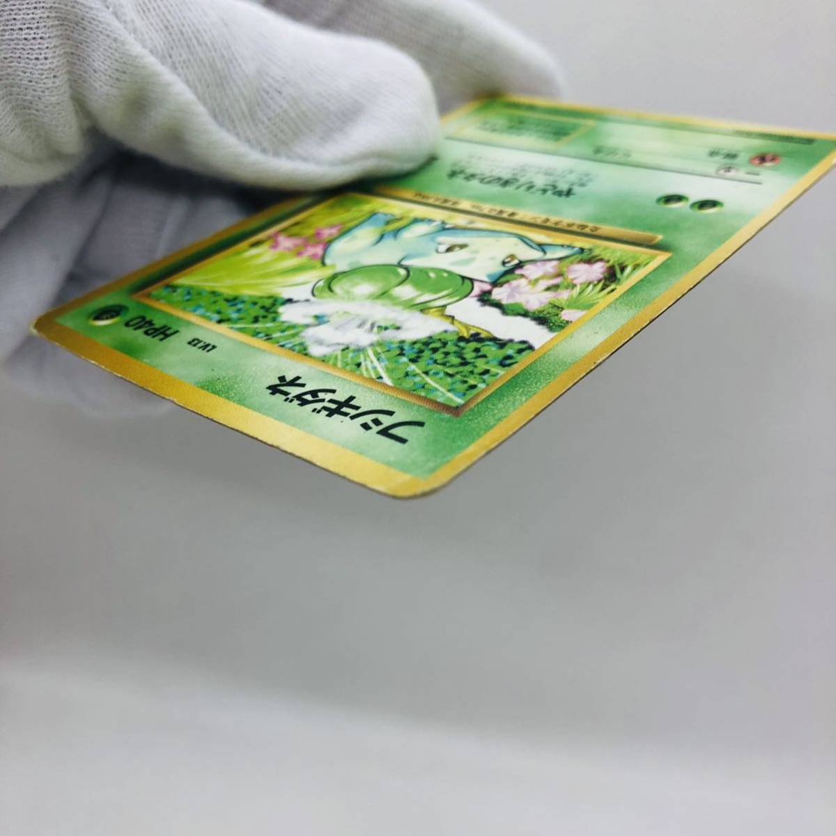 ポケモンカード 旧裏面 旧裏 マークなし 初版 フシギダネ ポケモンカード 旧裏面 旧裏 マークなし 初版 フシギダネ