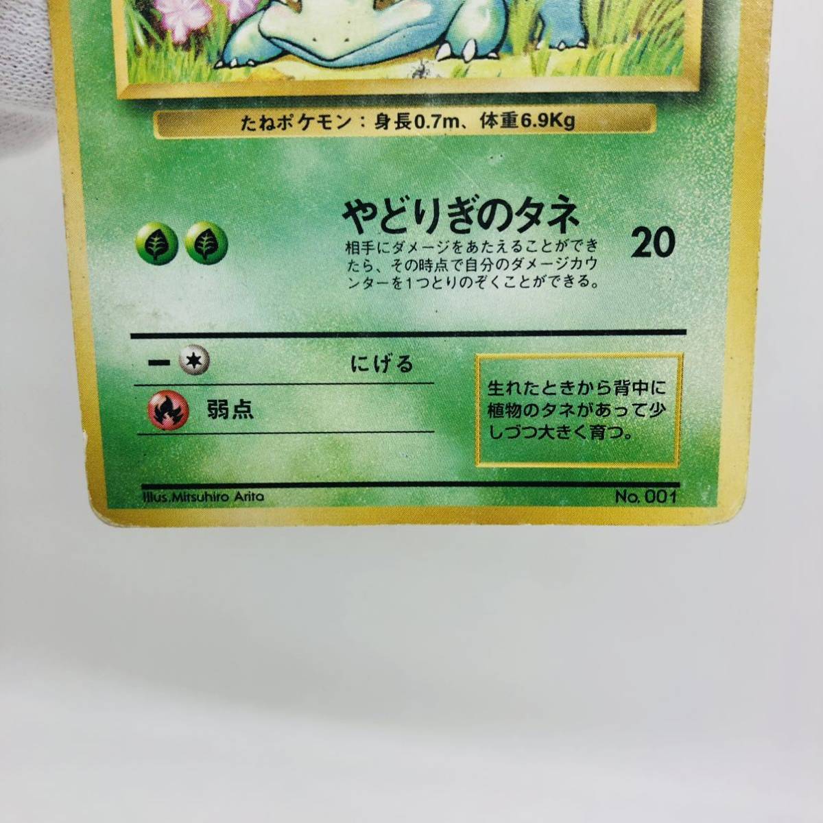 ポケモンカード 旧裏面 旧裏 マークなし 初版 フシギダネ ポケモンカード 旧裏面 旧裏 マークなし 初版 フシギダネ