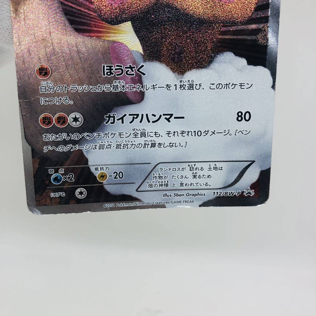 ポケモンカード ランドロス プロモカード SR 112/BW-P