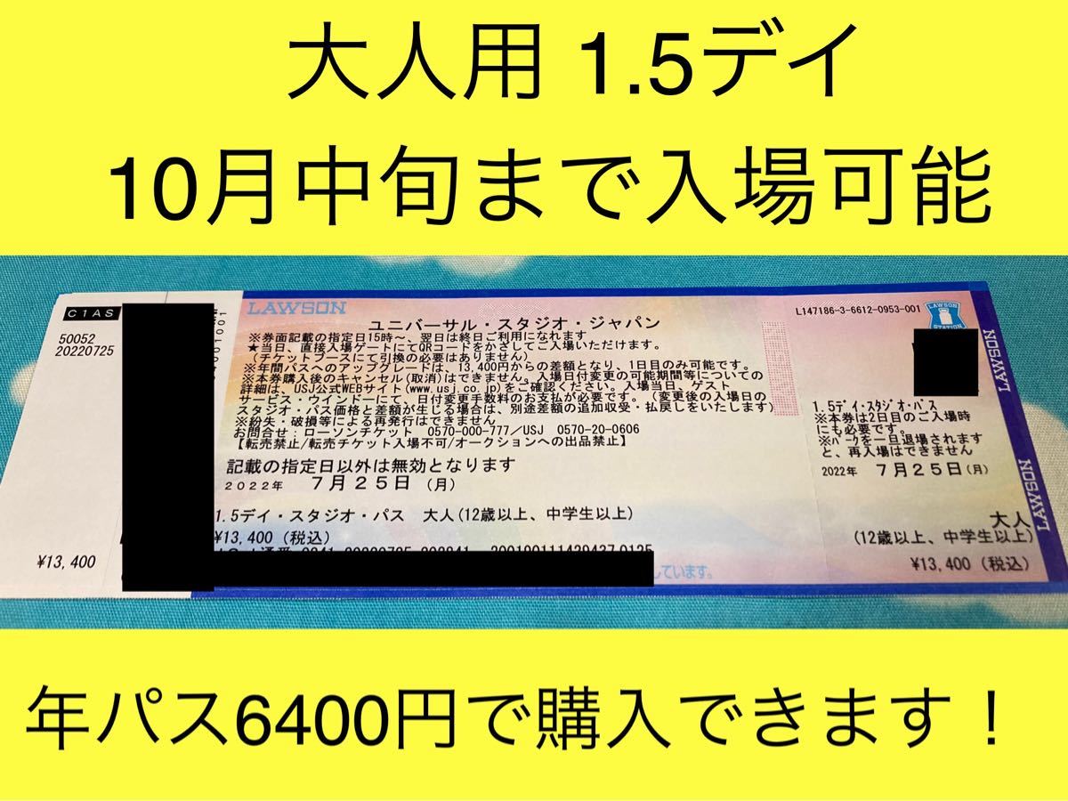 ユニバーサルスタジオジャパン USJ 1 5デイ 入場チケット チケット