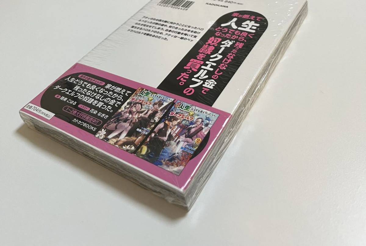 家が燃えて人生どうでも良くなったから、残ったなけなしの金でダークエルフの奴隷を買った　2巻　ユズリハ　初版　新品　未開封　特典付き_画像4