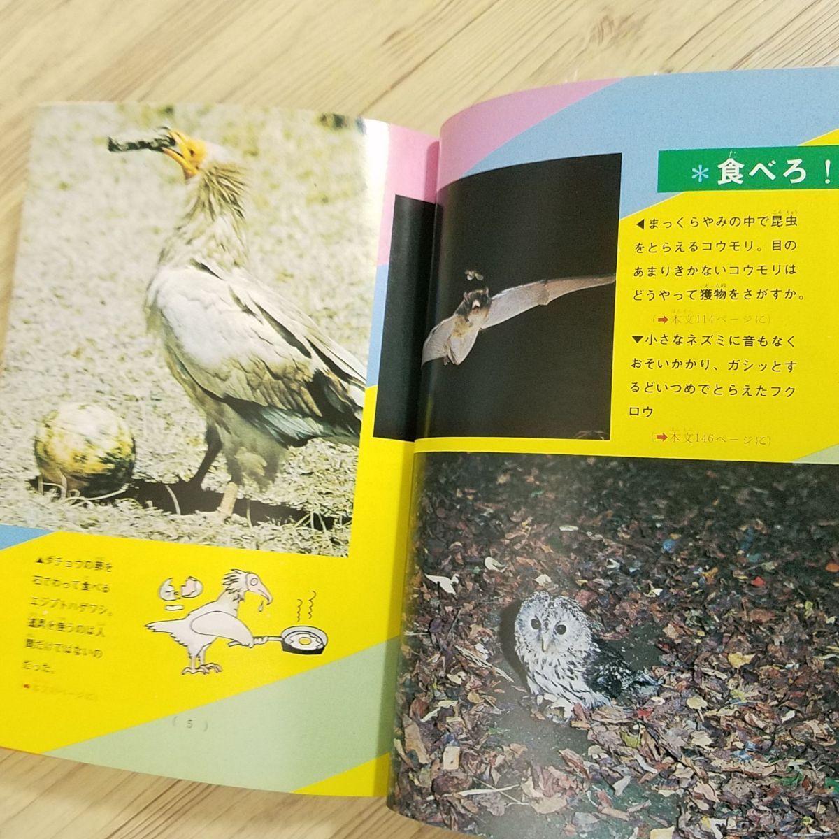 item_image_8