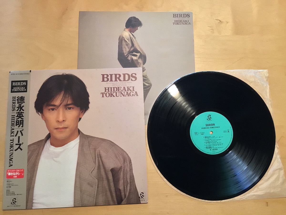 【帯付LP】徳永英明 / BIRDS バーズ (AY28-14) / 和泉一弥 / 川村栄二 / 武部聡志 / 1987年5月盤 / 輝きながら…_画像1