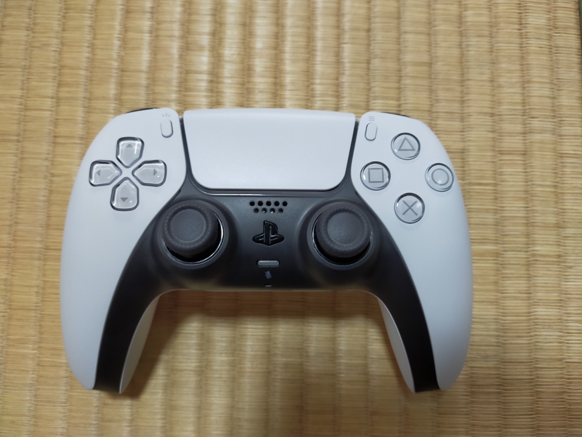 PS5 本体 PlayStation5 CFI-1000A01 プレイステーション5 holdmeback.com