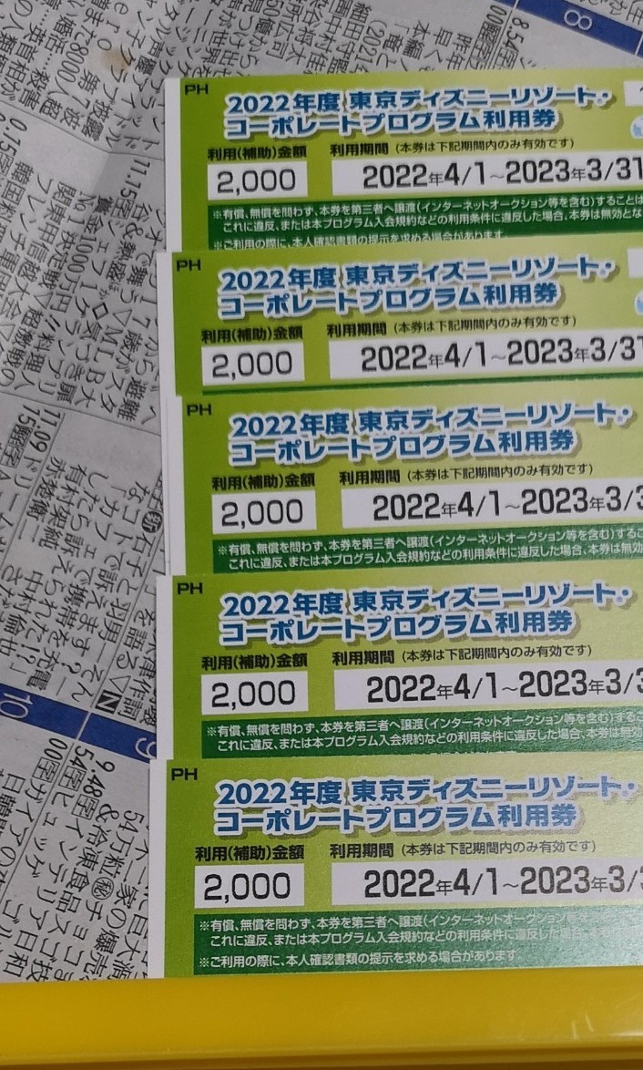 東京ディズニーリゾート コーポレートプログラム利用券 割引券 2023/3