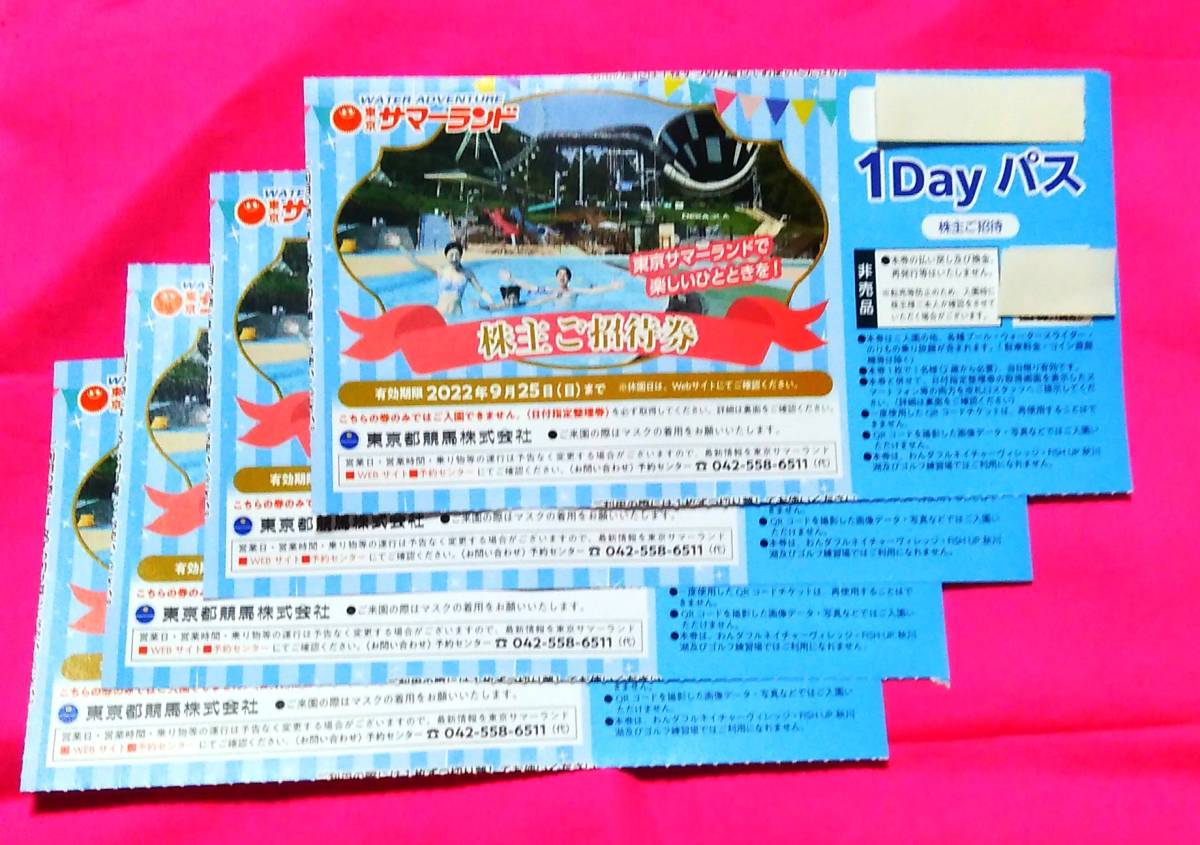 東京都競馬 東京サマーランド 株主優待券☆株主ご招待券 4枚☆フリー