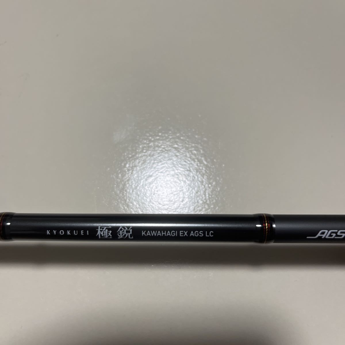 DAIWA 極鋭 カワハギ EX AGS LC (使用回数2回)(2021年11月3日購入