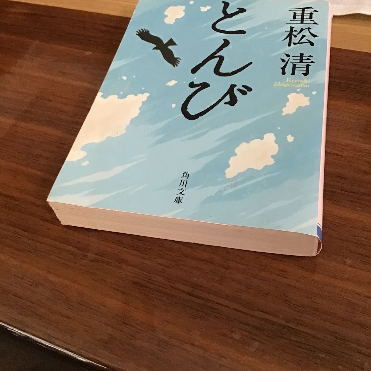 とんび (角川文庫) 重松清/〔著〕 中古文庫本|PayPayフリマ とんび 重松清