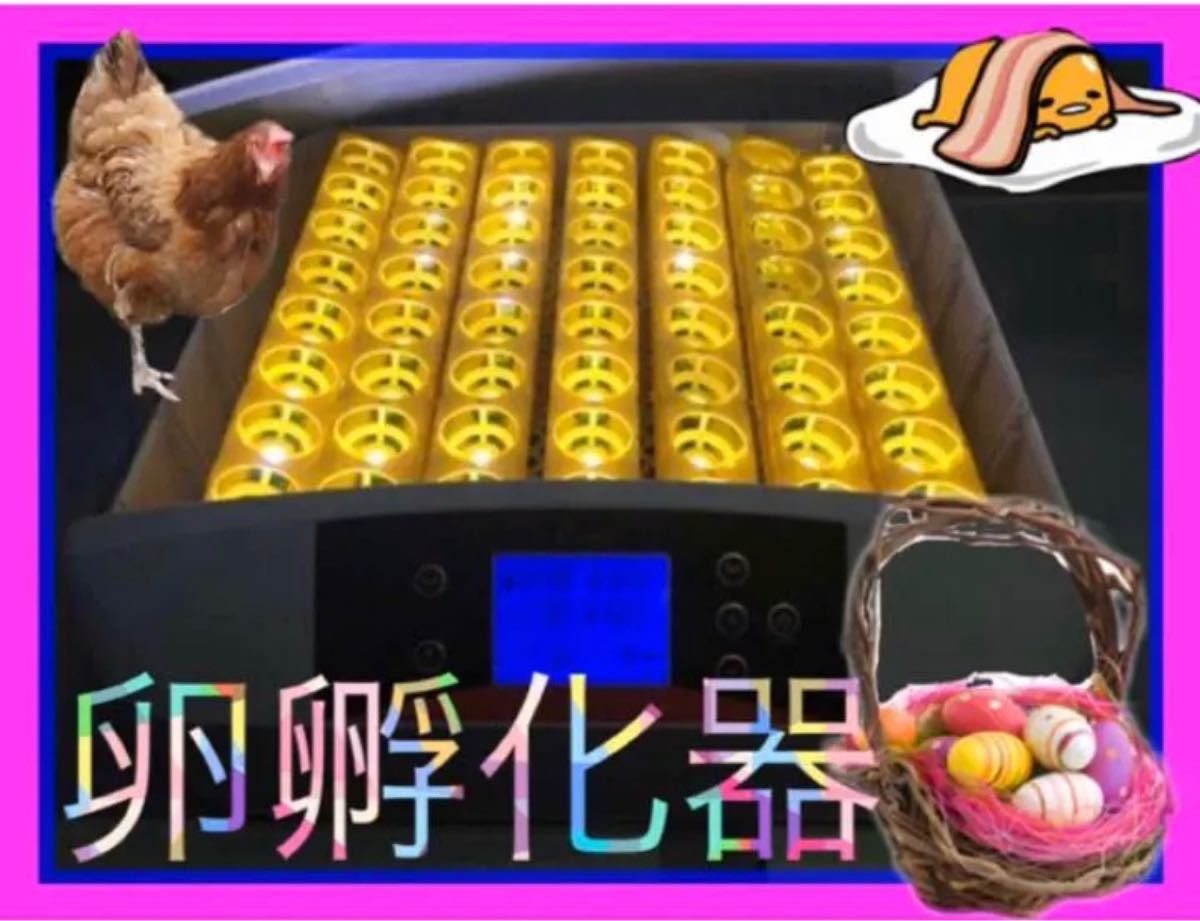 最大56個 全自動孵卵器 孵卵機 ふ卵器 孵化器 インキュベーター 新品 ...