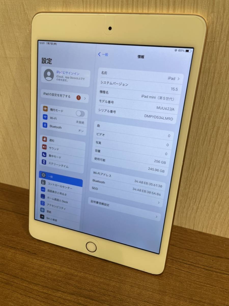 iPadmini 7.9インチ 第5世代　256GB　MUU62J/A　Wi-Fi　_画像2