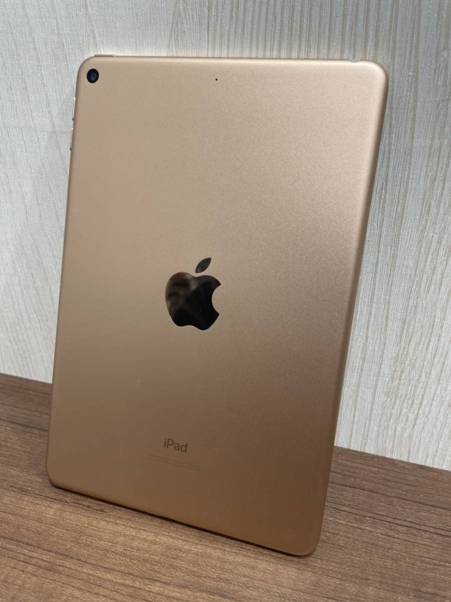 iPadmini 7.9インチ 第5世代　256GB　MUU62J/A　Wi-Fi　_画像3