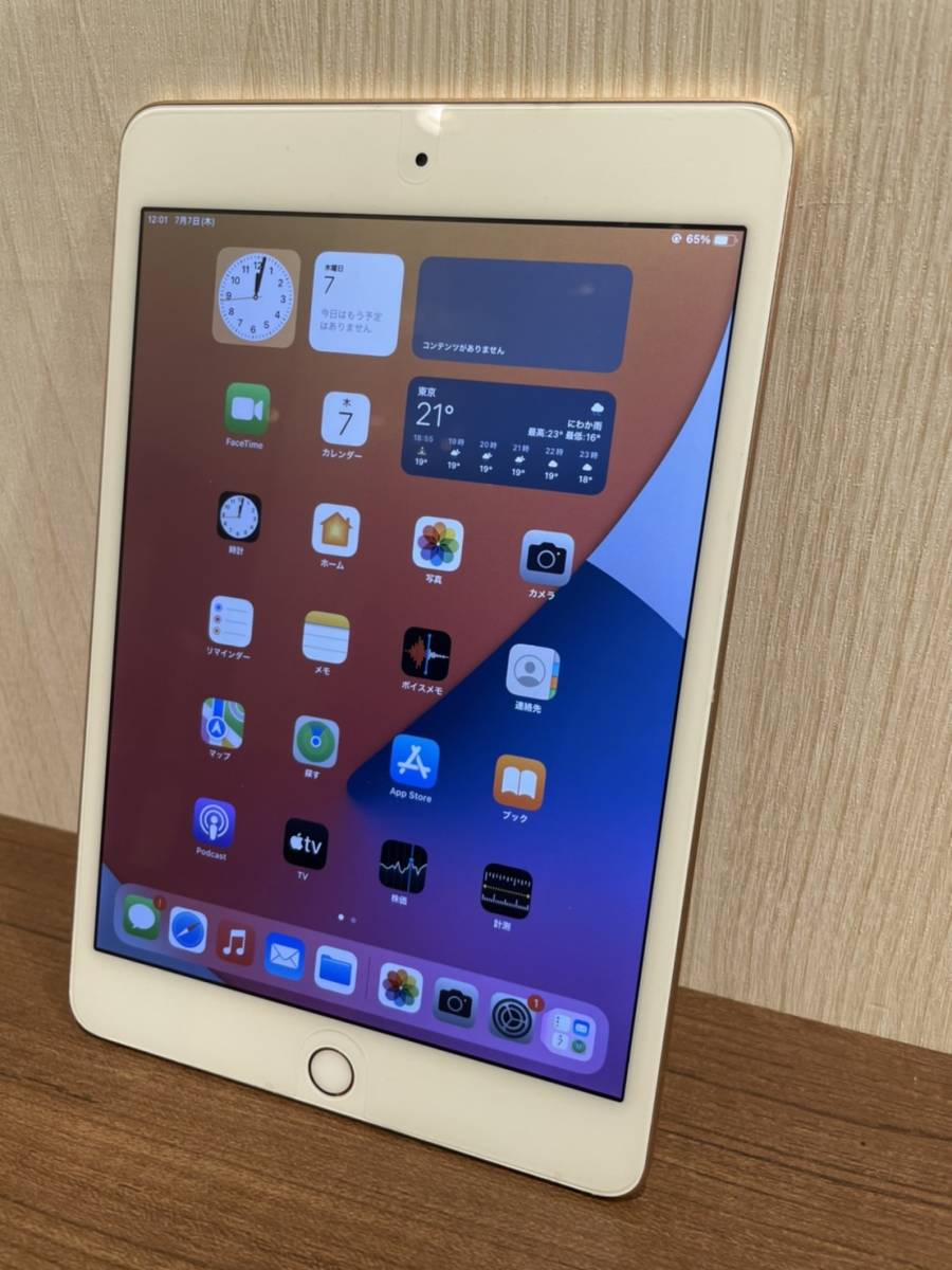 iPadmini 7.9インチ 第5世代　256GB　MUU62J/A　Wi-Fi　_画像1