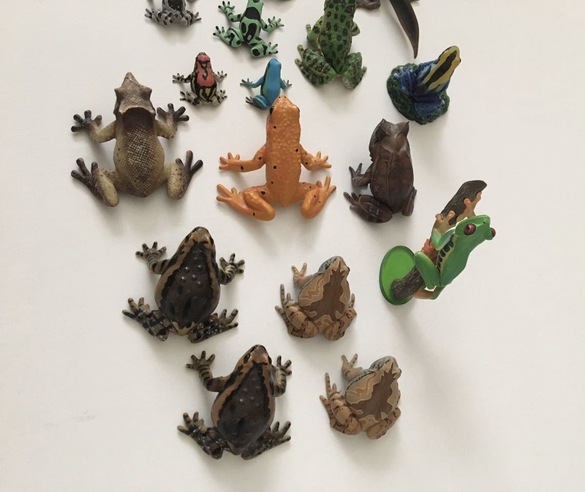 YUJIN 原色両生類 カエル図鑑 蛙 おたまじゃくし フィギュア YUJIN 原色両生類 カエル図鑑 蛙 おたまじゃくし フィギュア